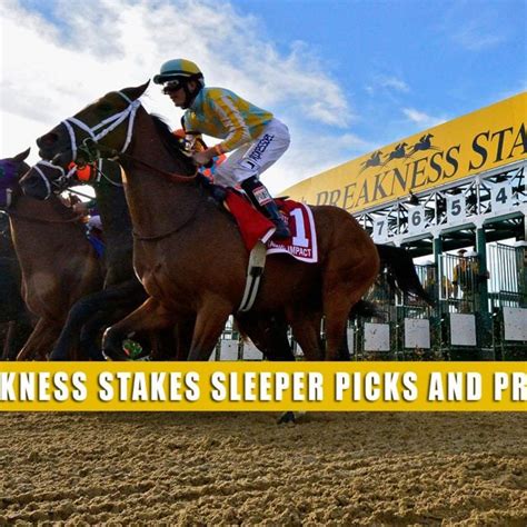 preakness handicapping picks|Preakness Stakes Expert Picks .